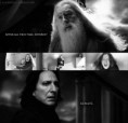 /album/severus-snape/tumblr-lg6a27dpld1qgmsu2o1-500-jpg/
